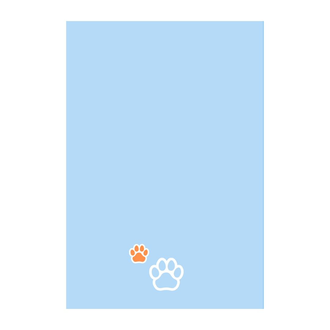 Bluey - Coloring book